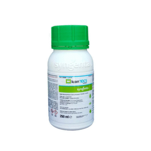ICON 10	CS